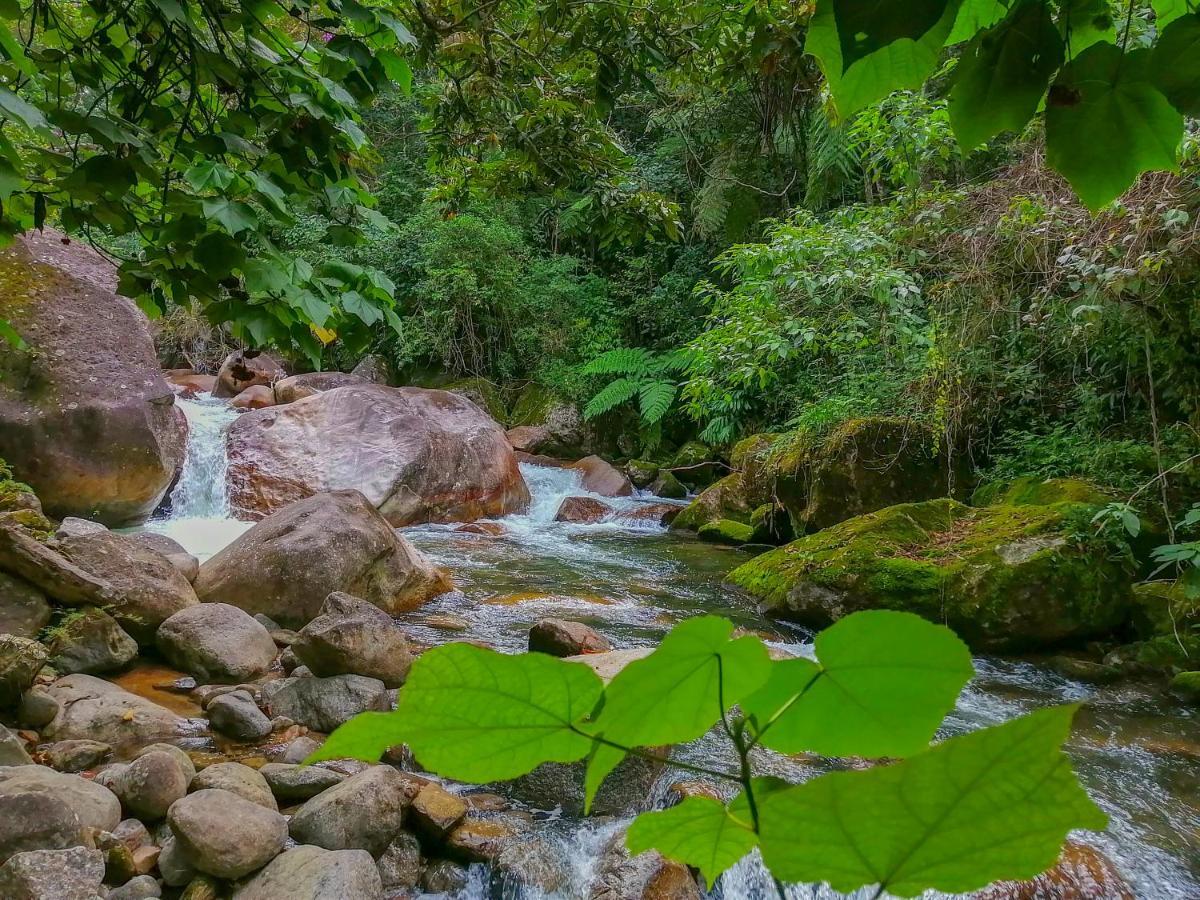 Chale 1 Alto Na Montanha, Com Lareira E Wi-Fi Apartment Visconde De Maua Luaran gambar